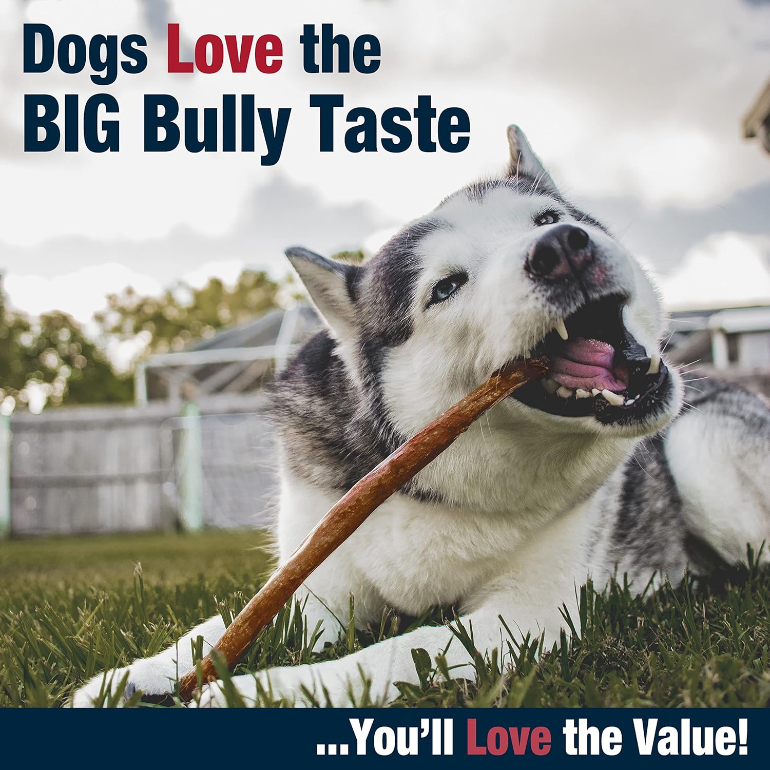 Authentic USA imported Cadet large dog treats for dental health