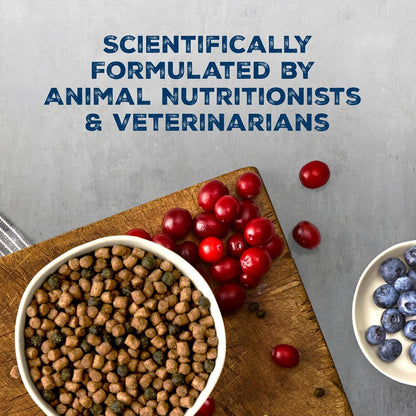 Premium authentic USA imported cat food packaging