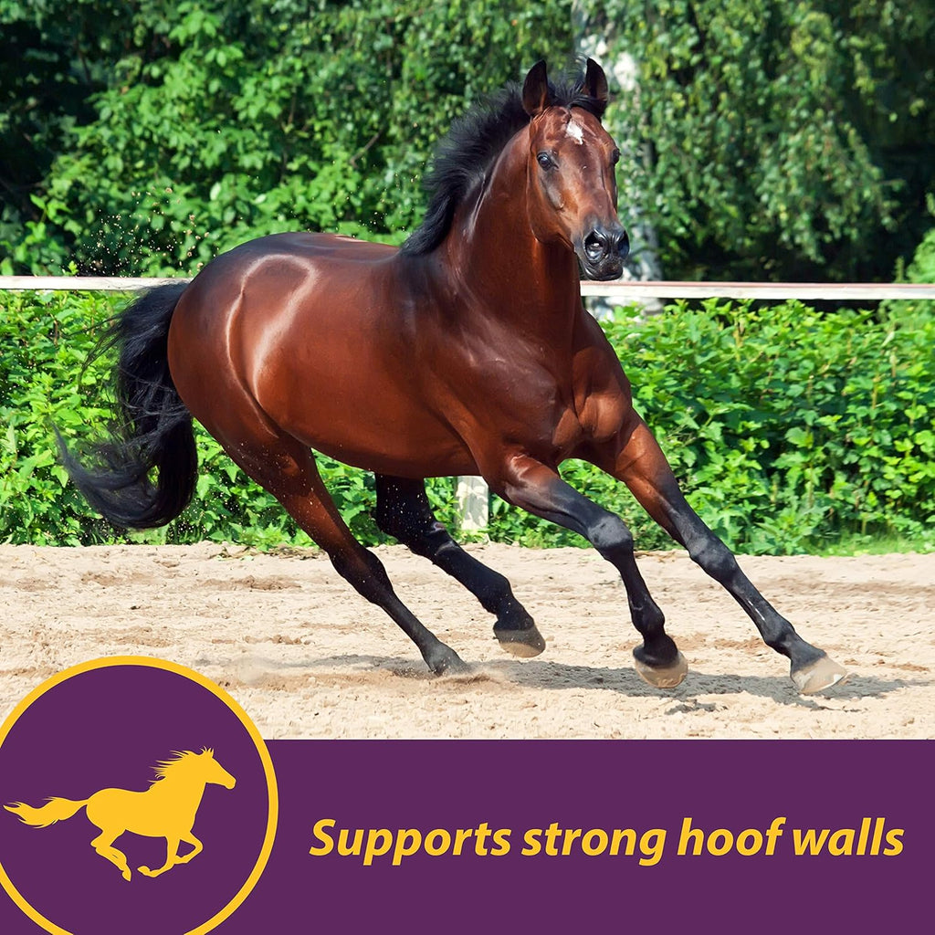 Horse Health hoof supplement crumbles texture and scoop close up view