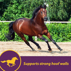 Horse Health hoof supplement crumbles texture and scoop close up view