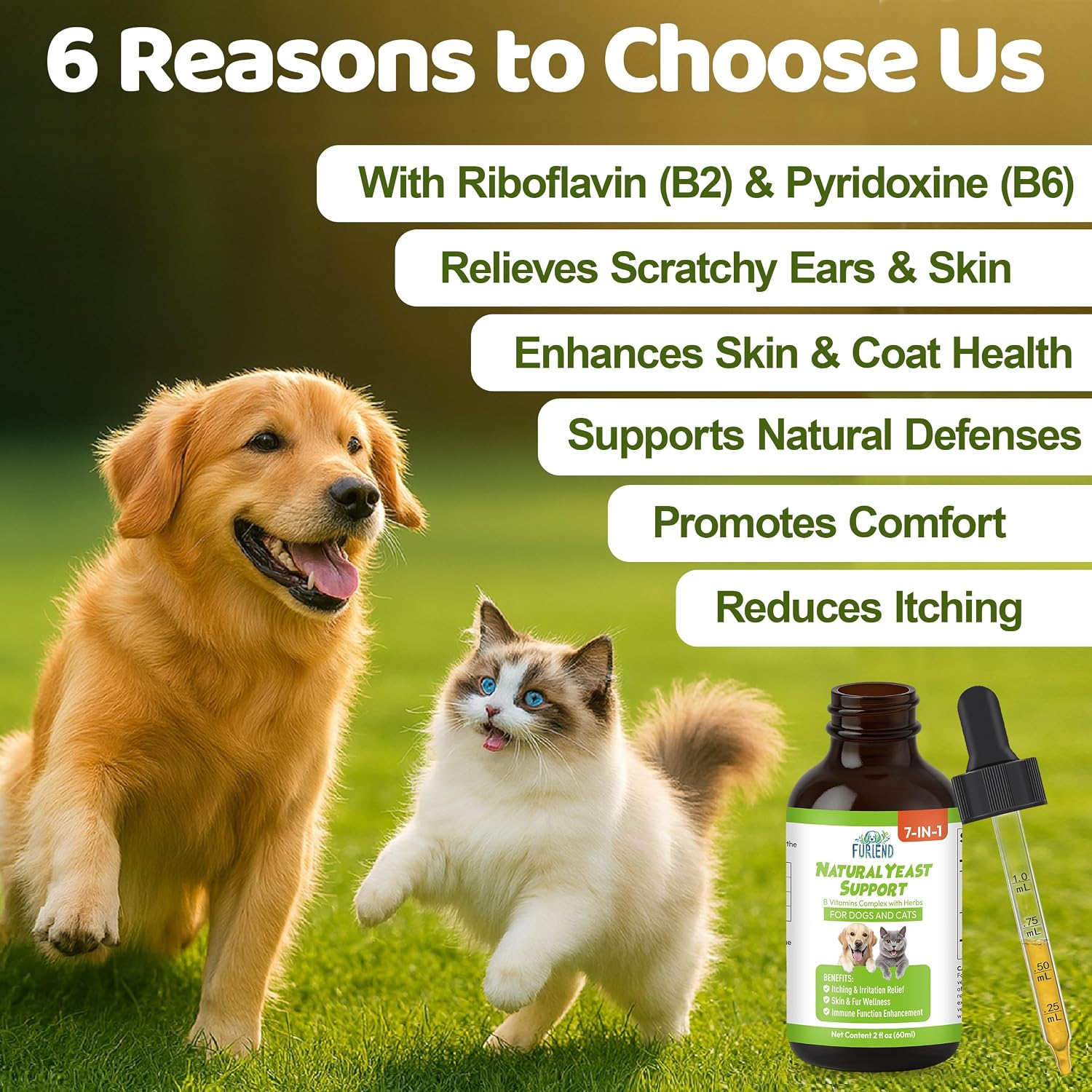 Beloved Pets 7 in 1 herbal formula liquid supplement dropper overview for dogs and cats