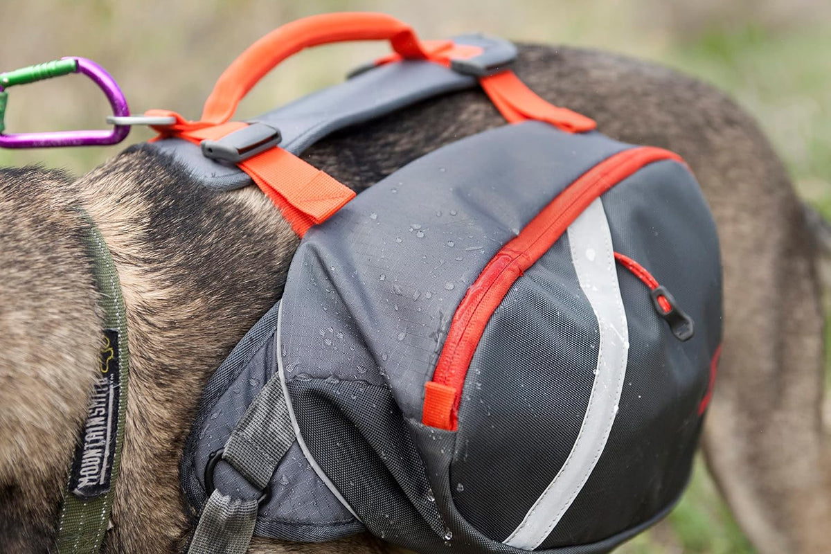 Breathable mesh panels and perforated foam lining close up view