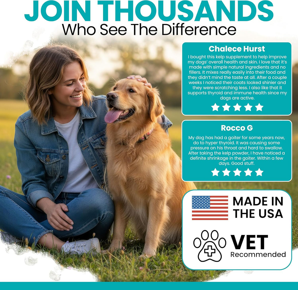 Dog owner sprinkling seaweed meal topper onto dog food