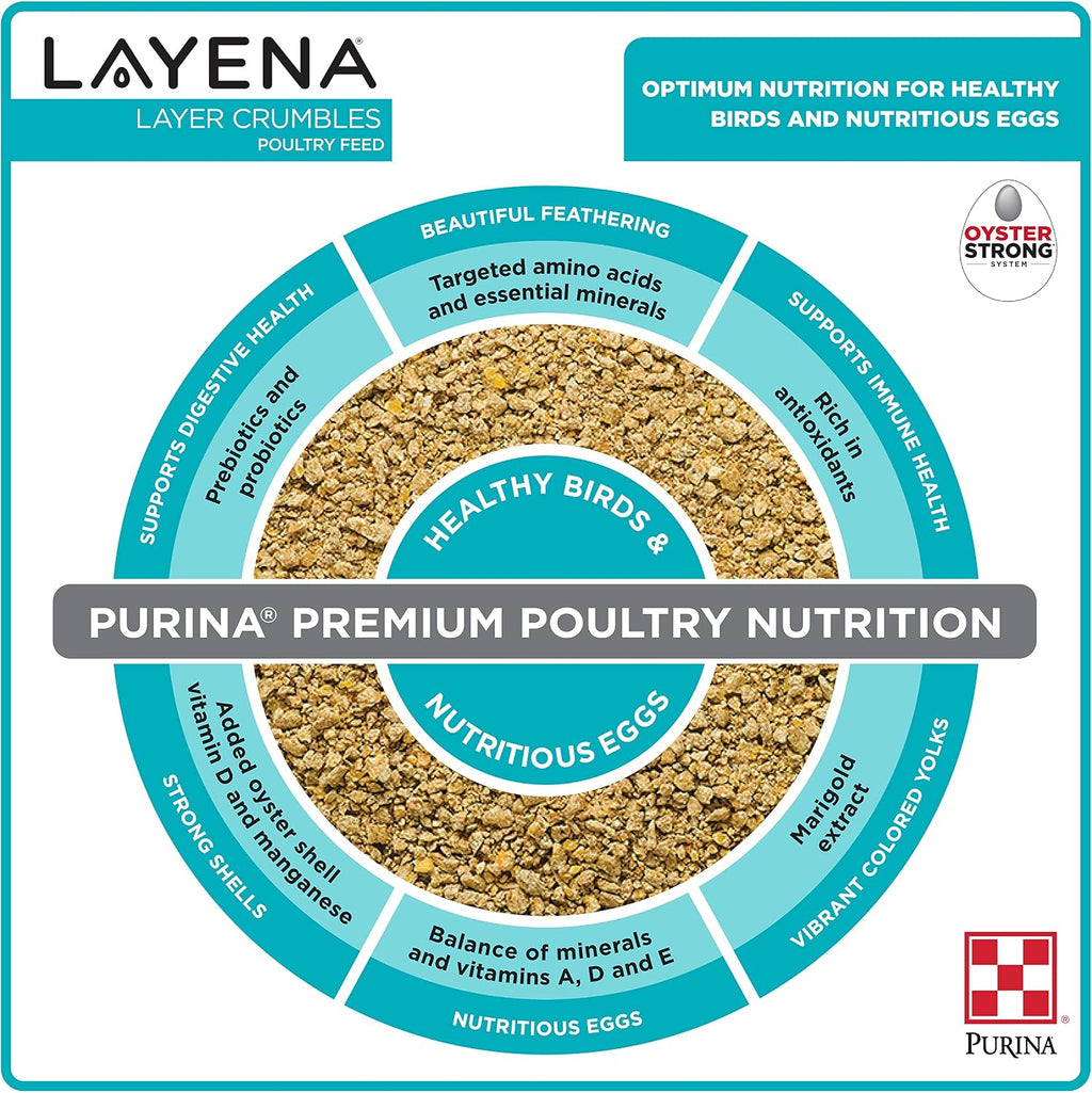 Healthy eggs produced by hens fed with Purina Layena feed