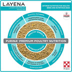Healthy eggs produced by hens fed with Purina Layena feed