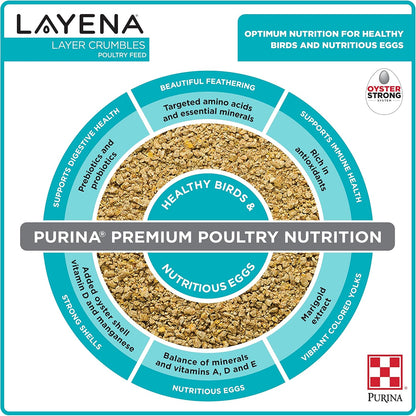 Purina Layena chicken feed bag in a farm setting