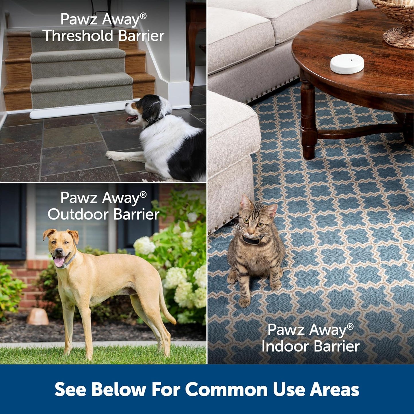 Compact circular radio fence transmitter from PetSafe for safe static pet correction.