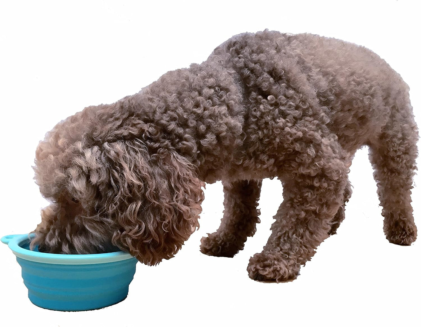Prima Pets portable pet bowl showing the sturdy tipping-resistant base