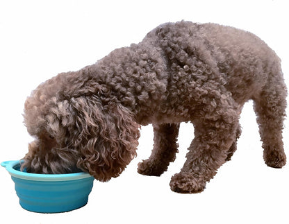 Prima Pets portable pet bowl showing the sturdy tipping-resistant base