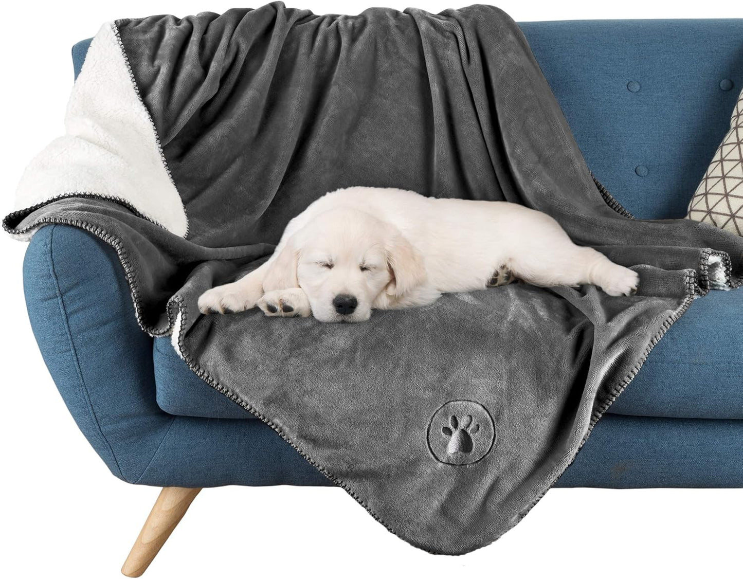 Water resistant dog blanket protecting car backseats from stains and mud