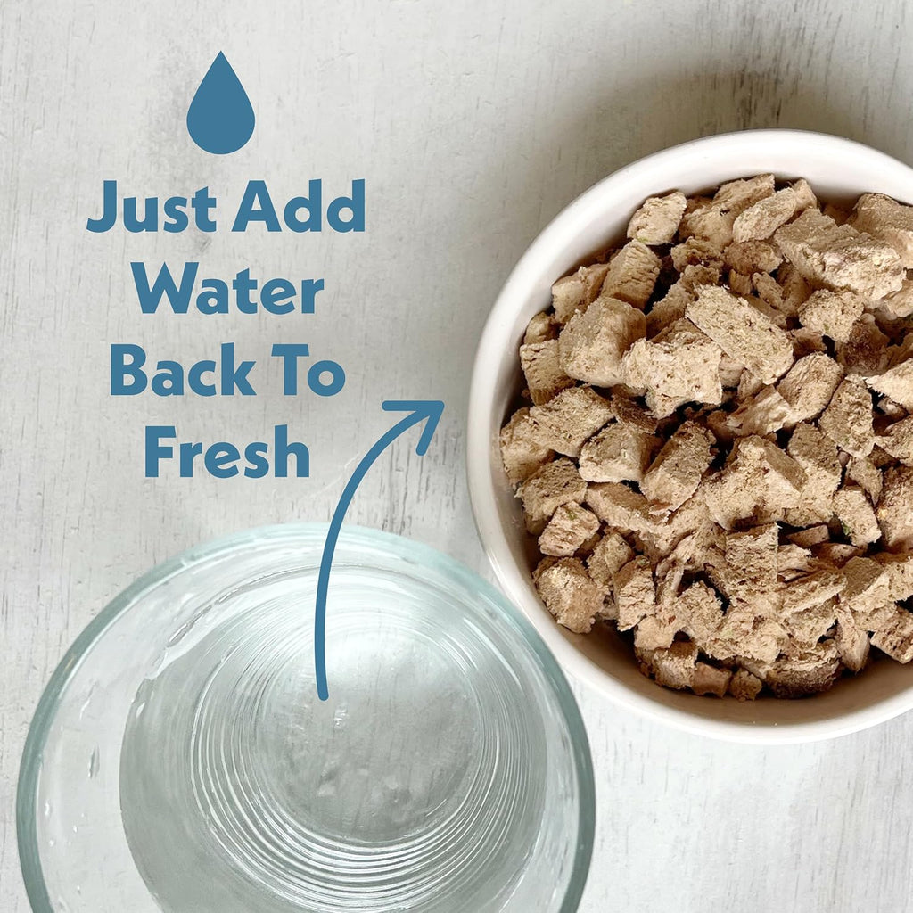 Fresh Is Best chicken cat food bag ingredient label detail