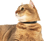 Adjustable black silicone pet collar showcasing the length extension mechanism