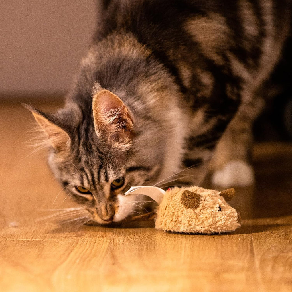 Cat engaging and playing with the motion-activated electronic mouse