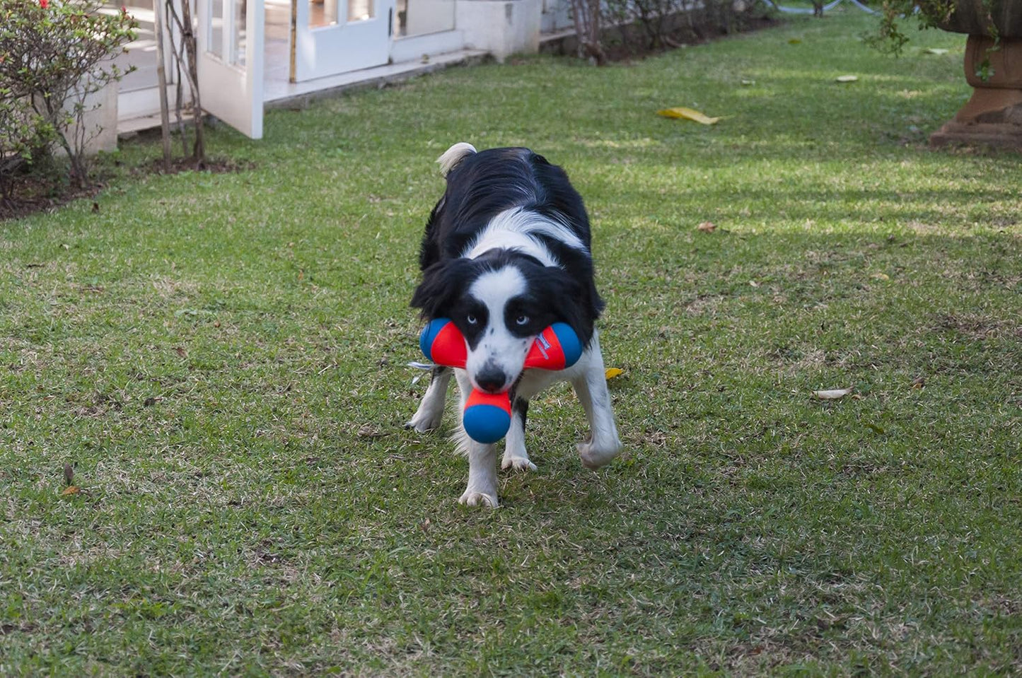 Triangular Fetch & Tug Dog Toy by Chuckit! - Image 9