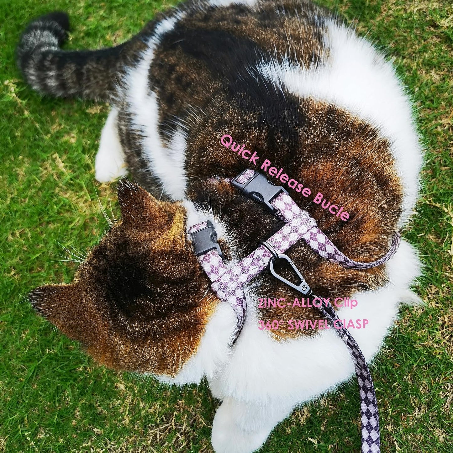 Secure buckle system on Muejjur cat harness