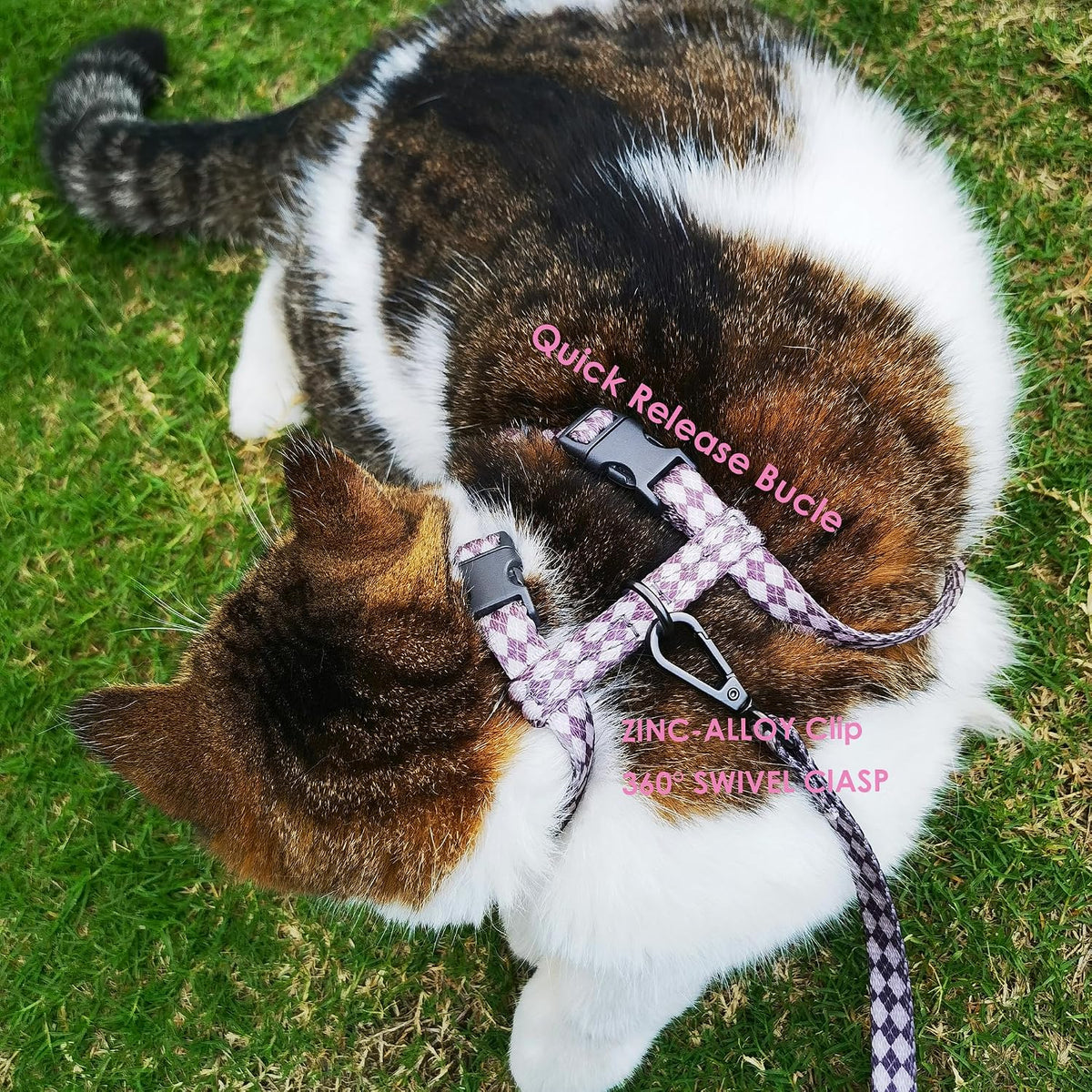 Secure buckle system on Muejjur cat harness