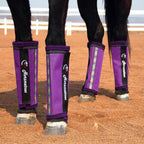 Horzmetnex protective fly boots for horses showcasing the full set of four for complete turnout coverage.