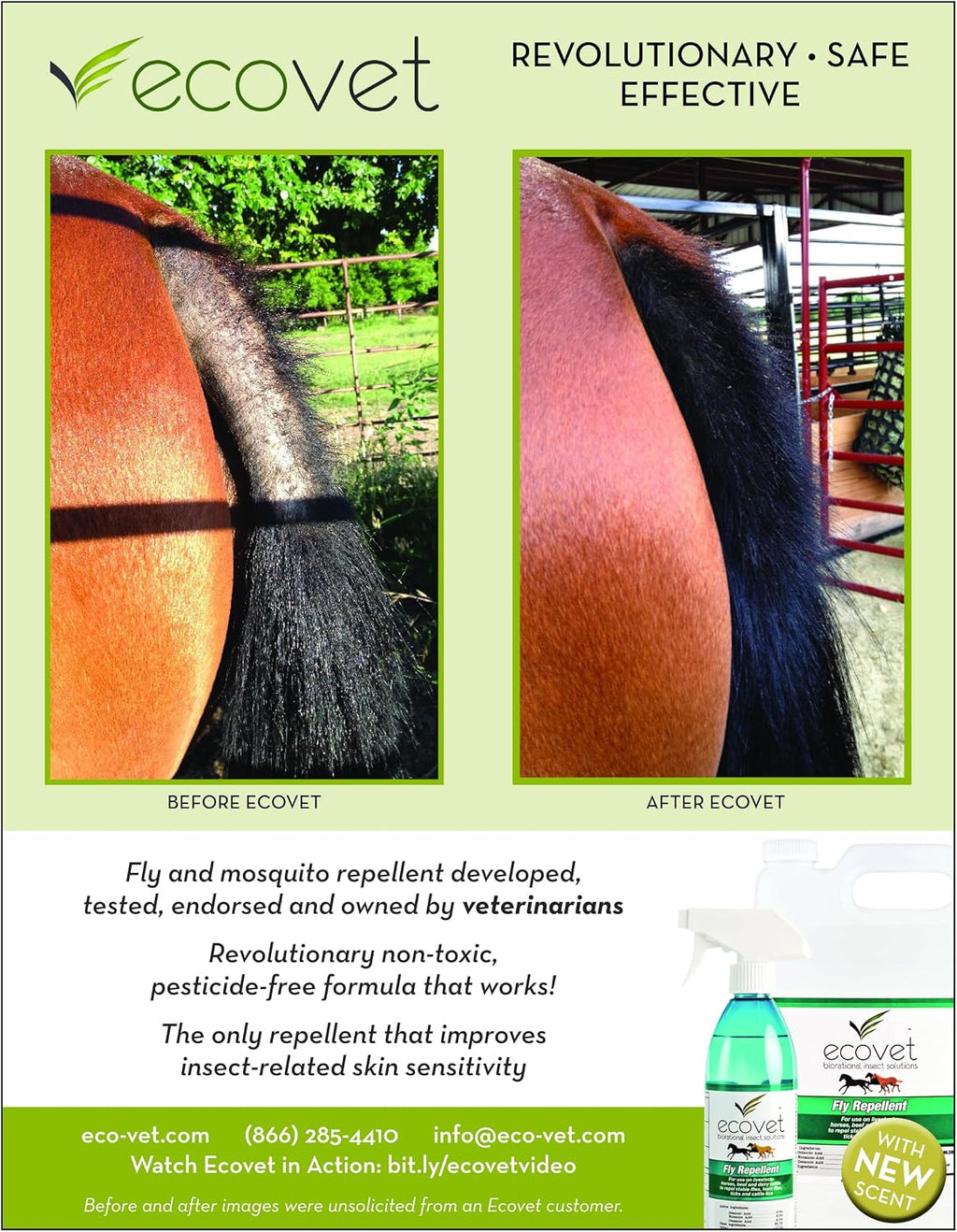 Ecovet veterinarian developed insect repellent for horses and cattle