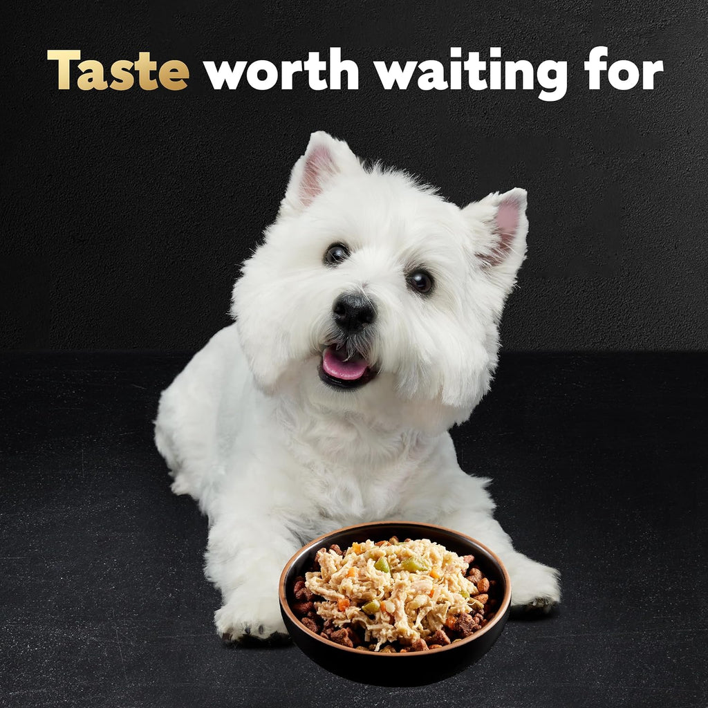 Cesar Wholesome Bowls Adult Wet Dog Food,Chicken,Carrots,Barley & Green Beans Recipe,Wet Food for Dogs,3 Oz. Bowls,10 Count (Pack of 2) - Image 9