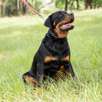 Herm Sprenger genuine German engineered dog collar packaging details