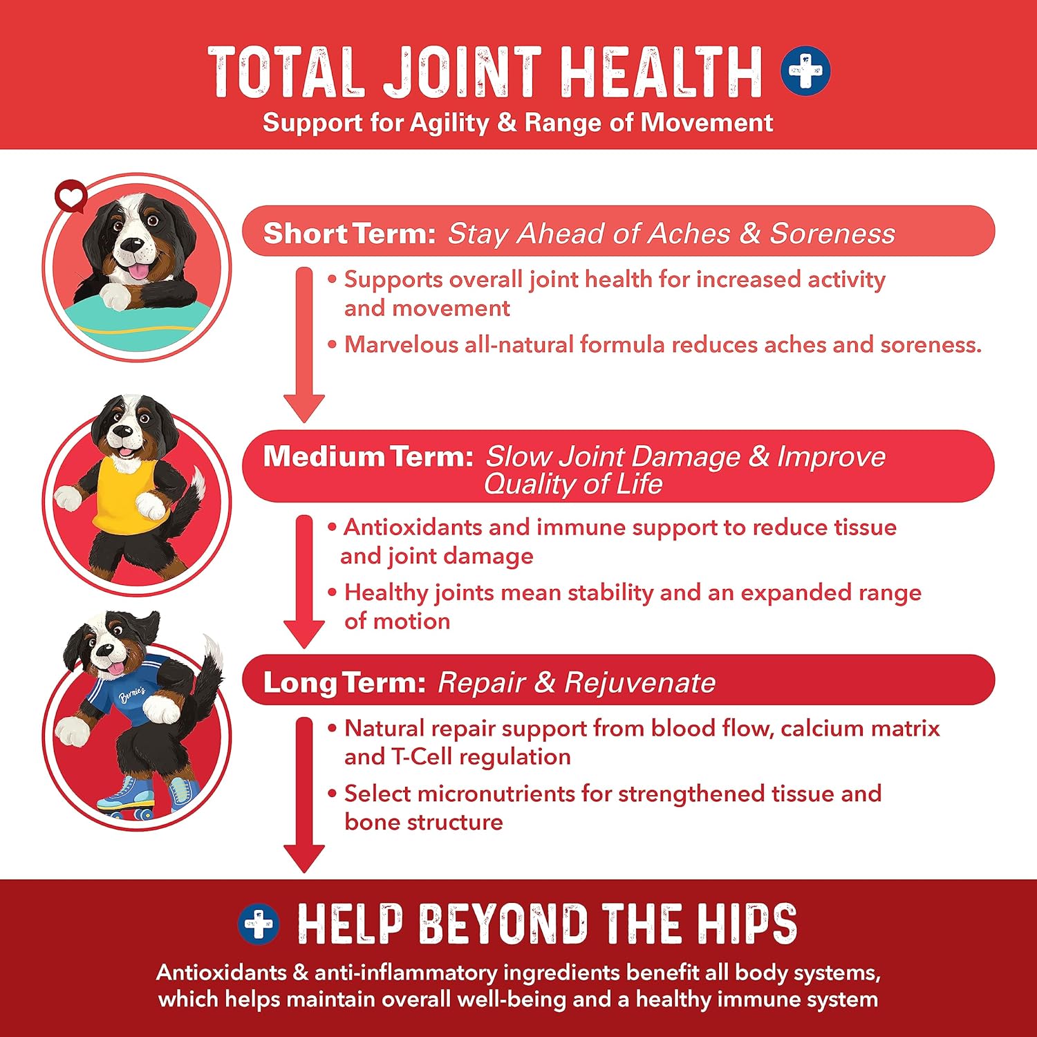 Bernie's Marvelous Mobility 16 active ingredients label showing collagen and turmeric