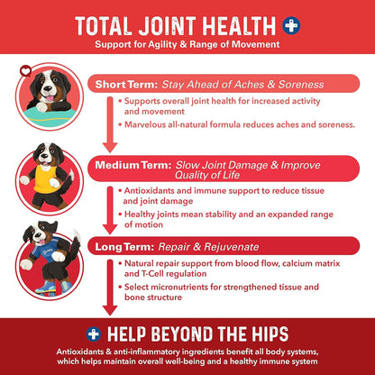 Bernie's Marvelous Mobility 16 active ingredients label showing collagen and turmeric