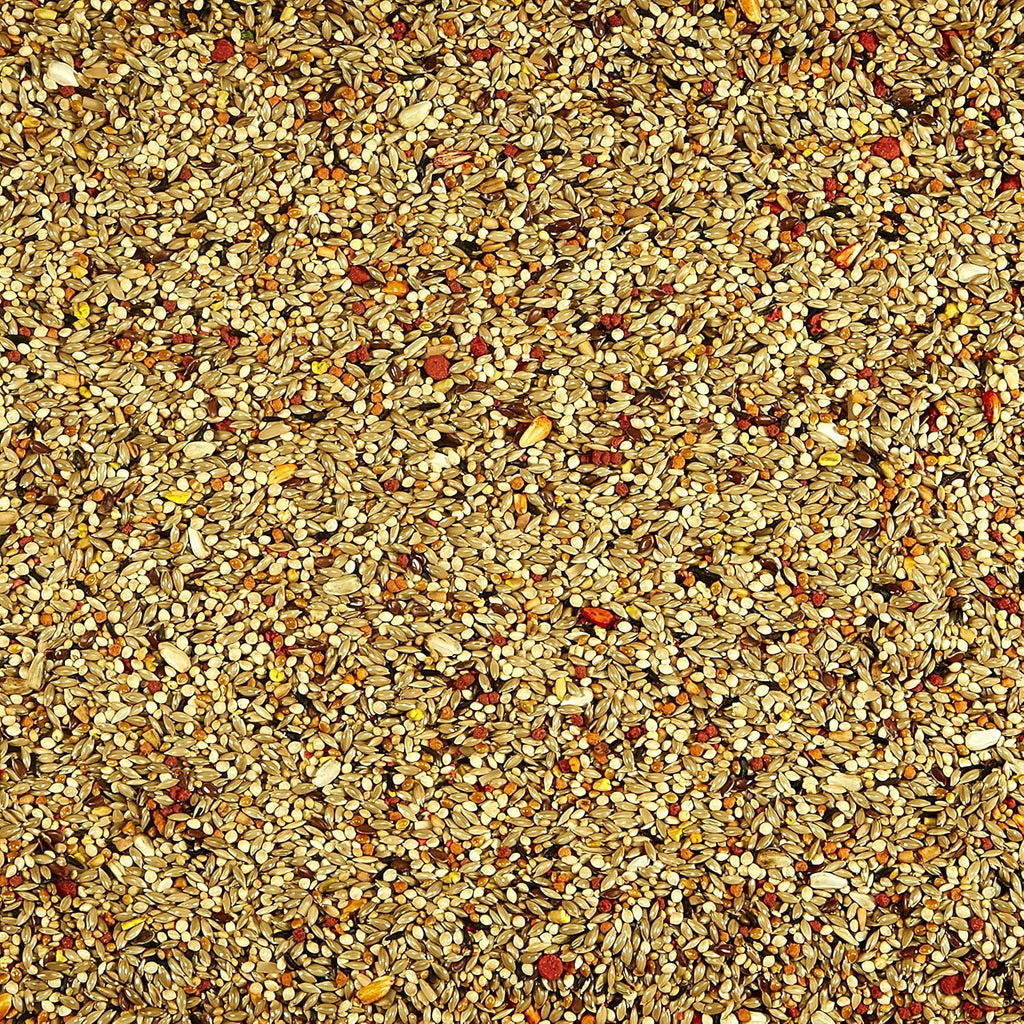 Kaytee Orange Flavored Treat -- Parakeet 10 oz - Image 3