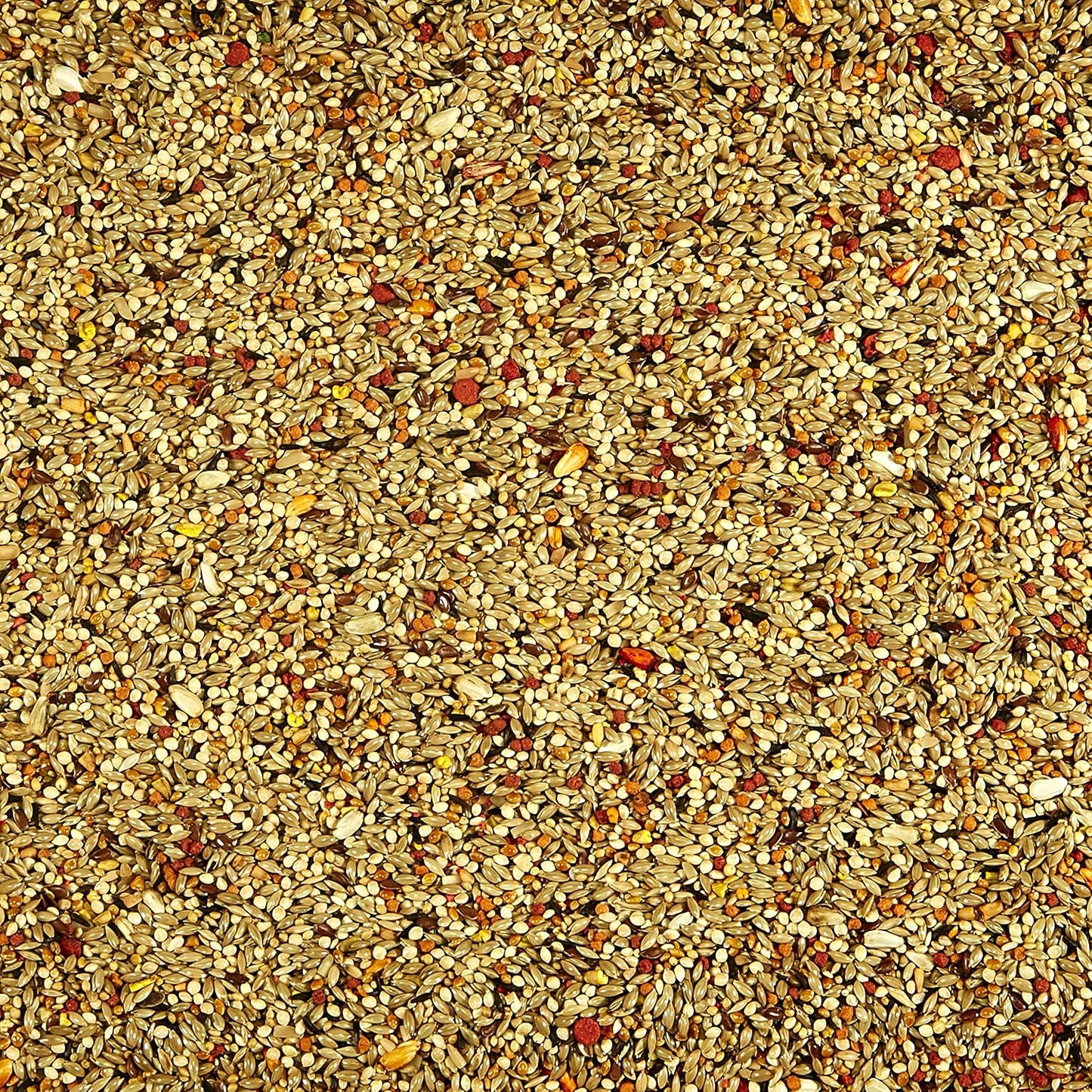 Close up of fortified seed blend inside Kaytee orange flavored treat container