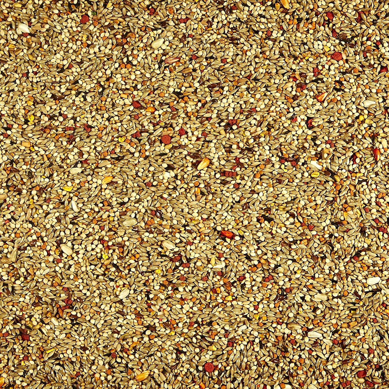 Close up of fortified seed blend inside Kaytee orange flavored treat container