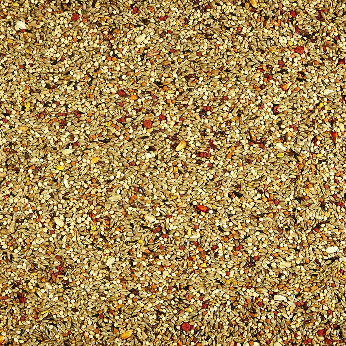 Kaytee Orange Flavored Treat -- Parakeet 10 oz - Image 3