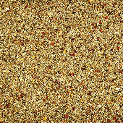 Close up of fortified seed blend inside Kaytee orange flavored treat container