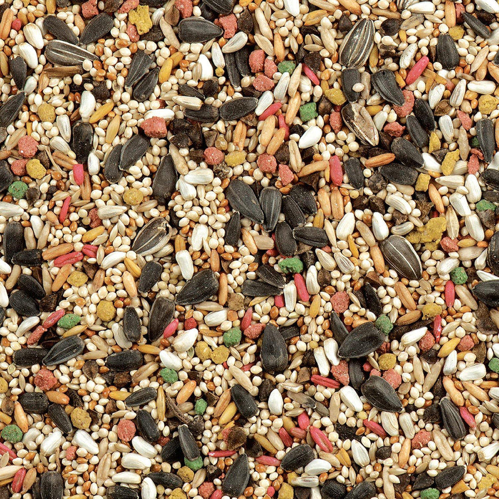 Wild Harvest Daily Blend Bird Food for Cockatiels, 2 lbs. - Image 5