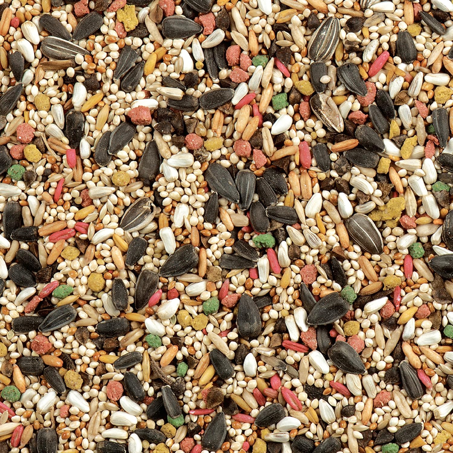 Close up of sunflower seeds and millet in bird food
