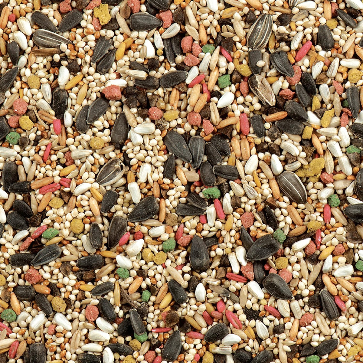 Wild Harvest Daily Blend Bird Food for Cockatiels, 2 lbs. - Image 5