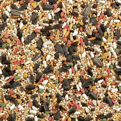 Close up of sunflower seeds and millet in bird food