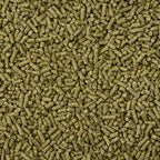 Healthy adult rabbit eating Kaytee Supreme natural fortified daily diet.