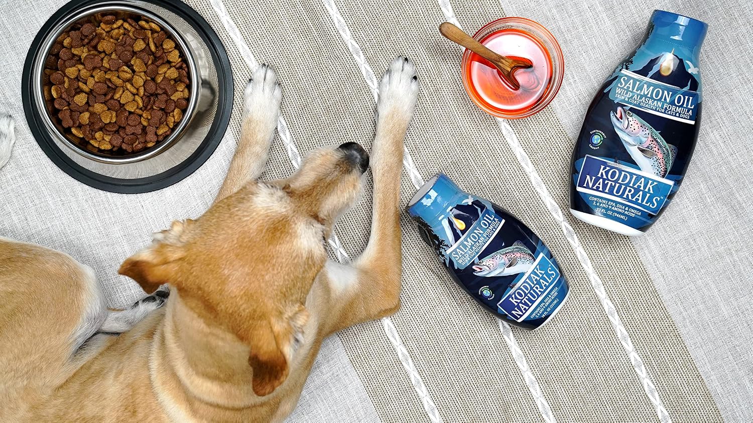 Natural pet skin and coat supplement being mixed into a dog food bowl as a daily meal topper.
