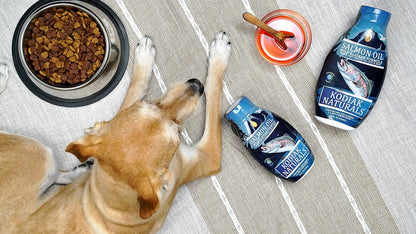 Natural pet skin and coat supplement being mixed into a dog food bowl as a daily meal topper.