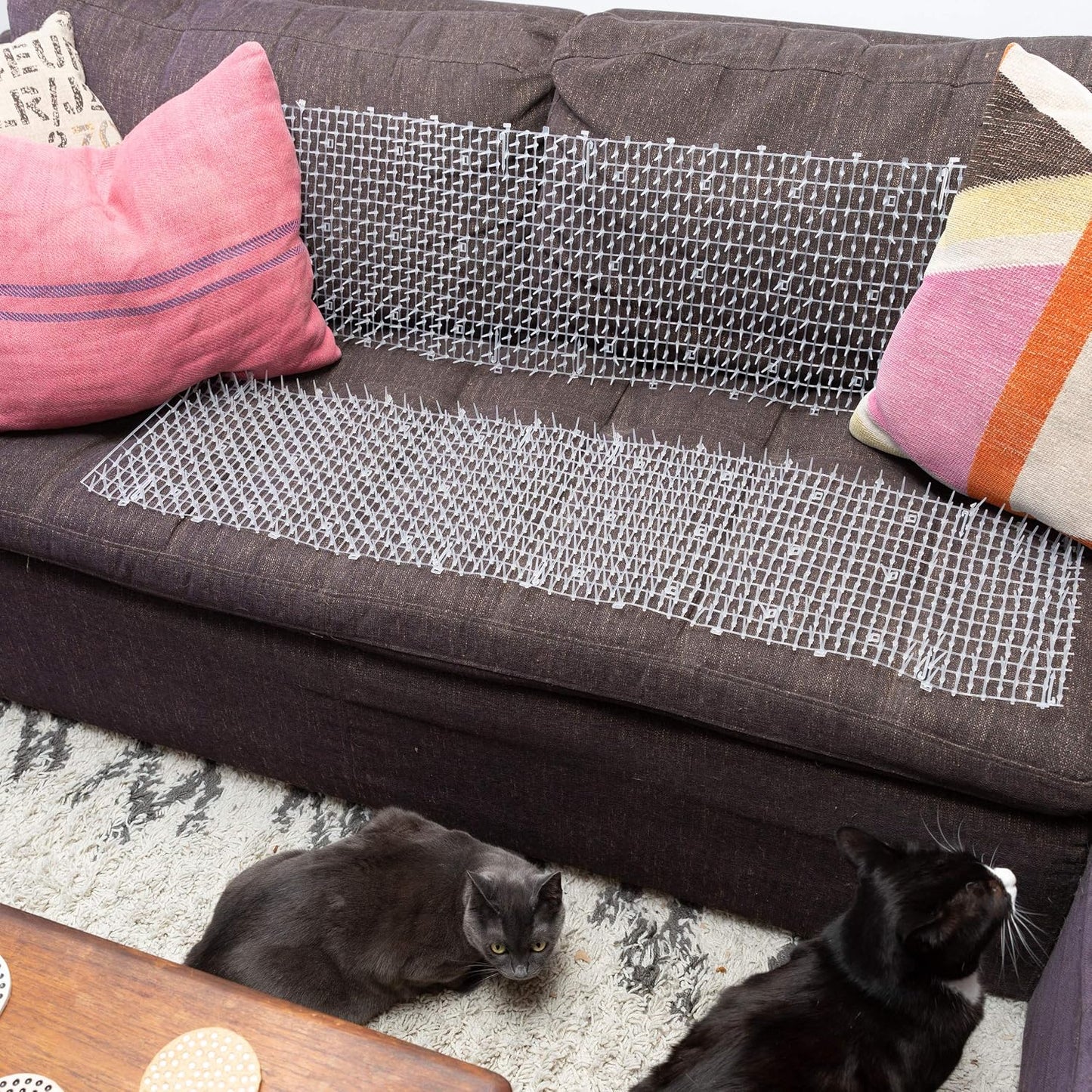 Ultragica cat deterrent mat placed on a sofa