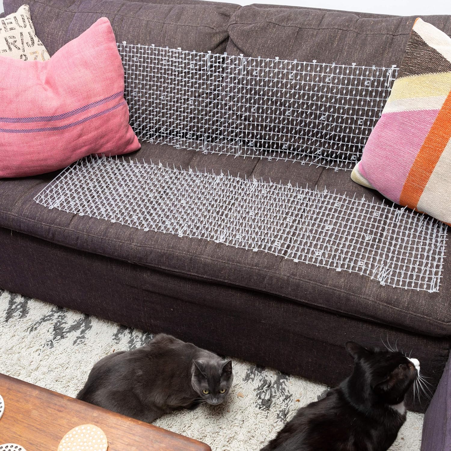 Ultragica cat deterrent mat placed on a sofa