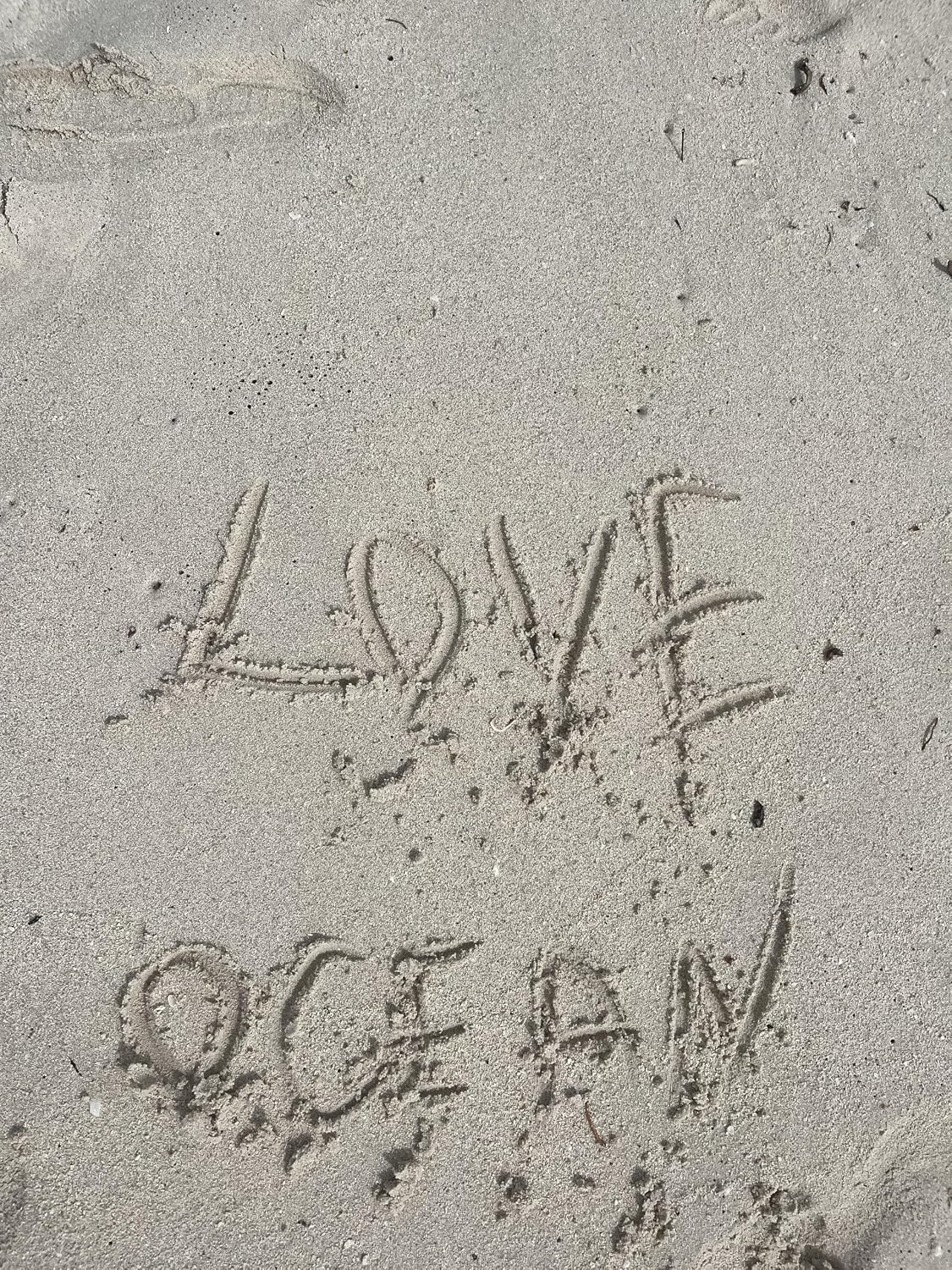 Fine grain texture of 16 Ounce Florida beach sand