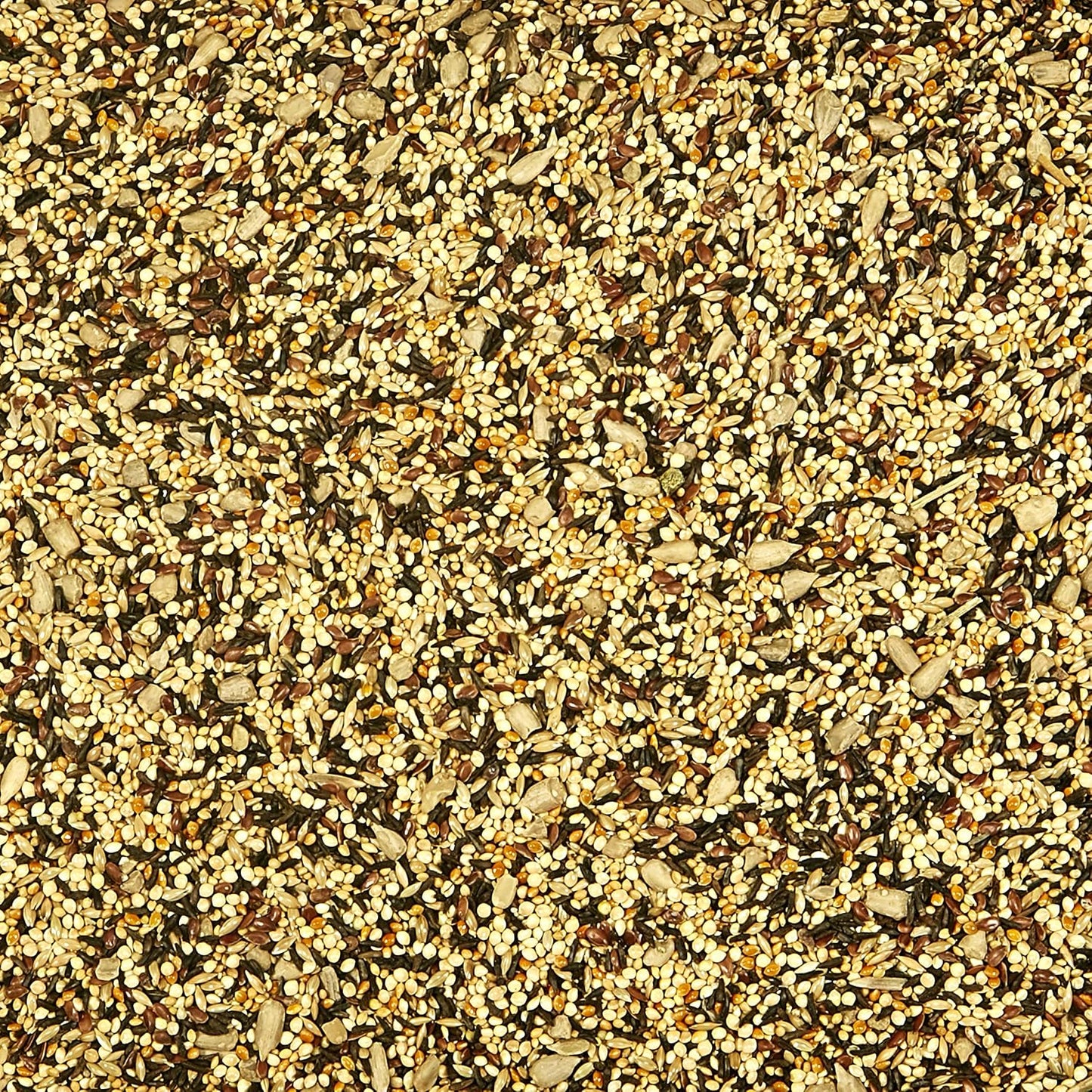 Close up of Kaytee finch food seed texture