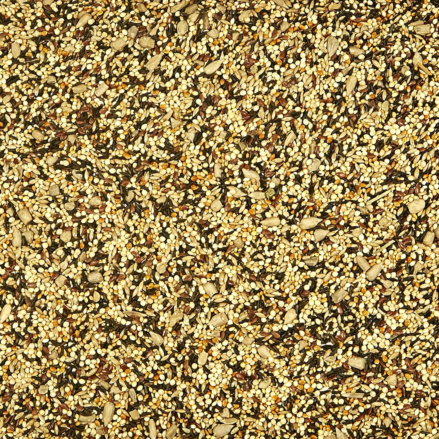 Close up of Kaytee finch food seed texture