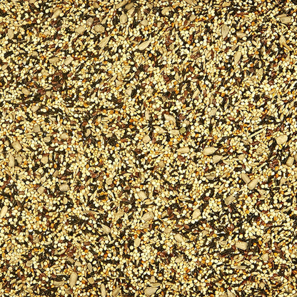 Close up of Kaytee finch food seed texture