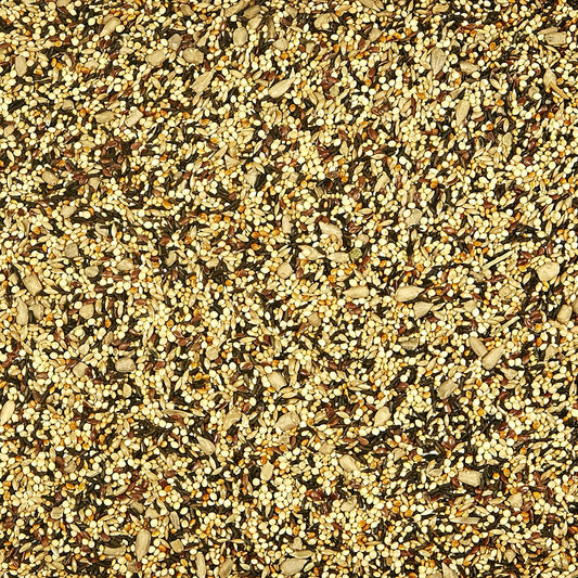 Close up of Kaytee finch food seed texture
