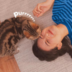 Authentic imported pet safe area rug deodorizing insect powder