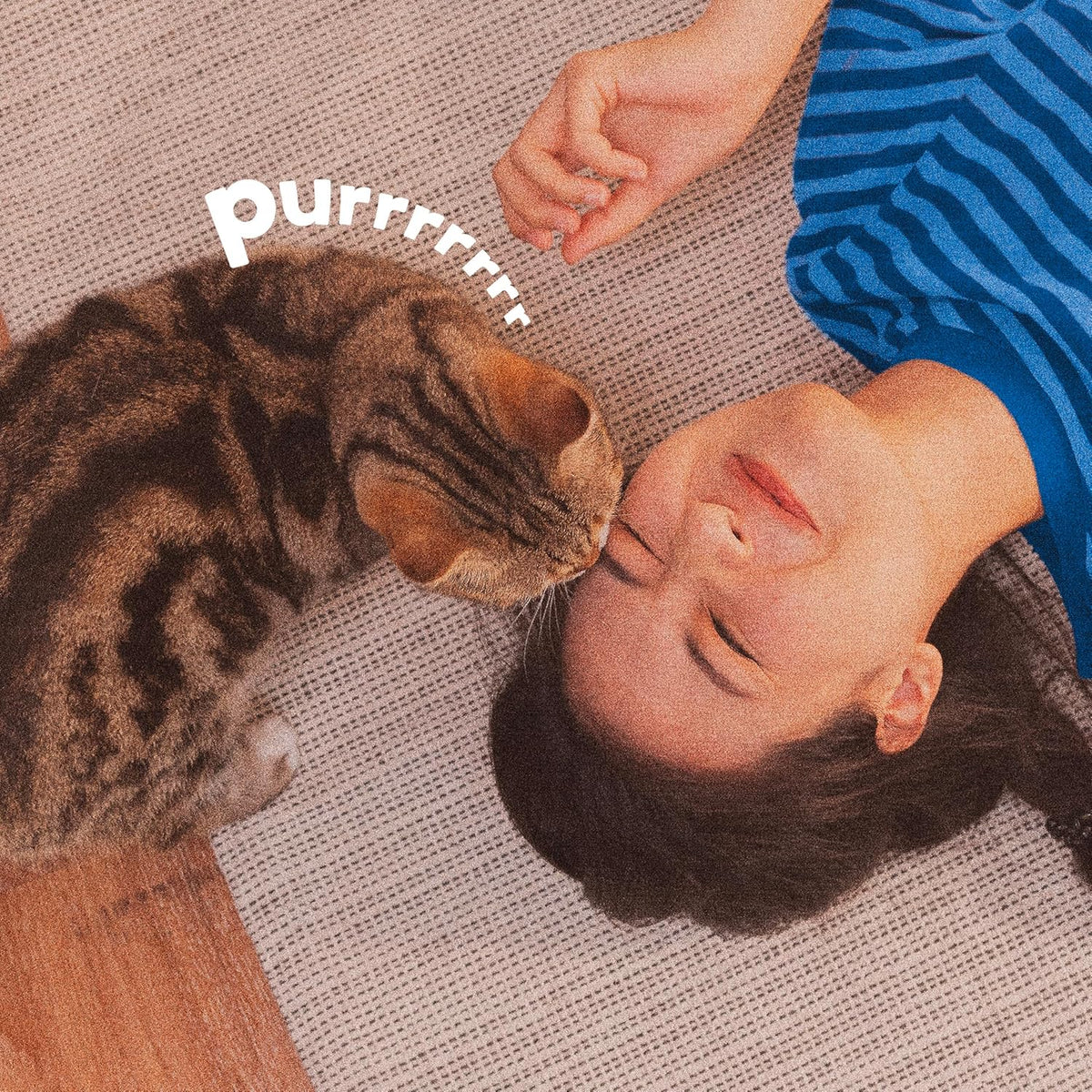 Authentic imported pet safe area rug deodorizing insect powder
