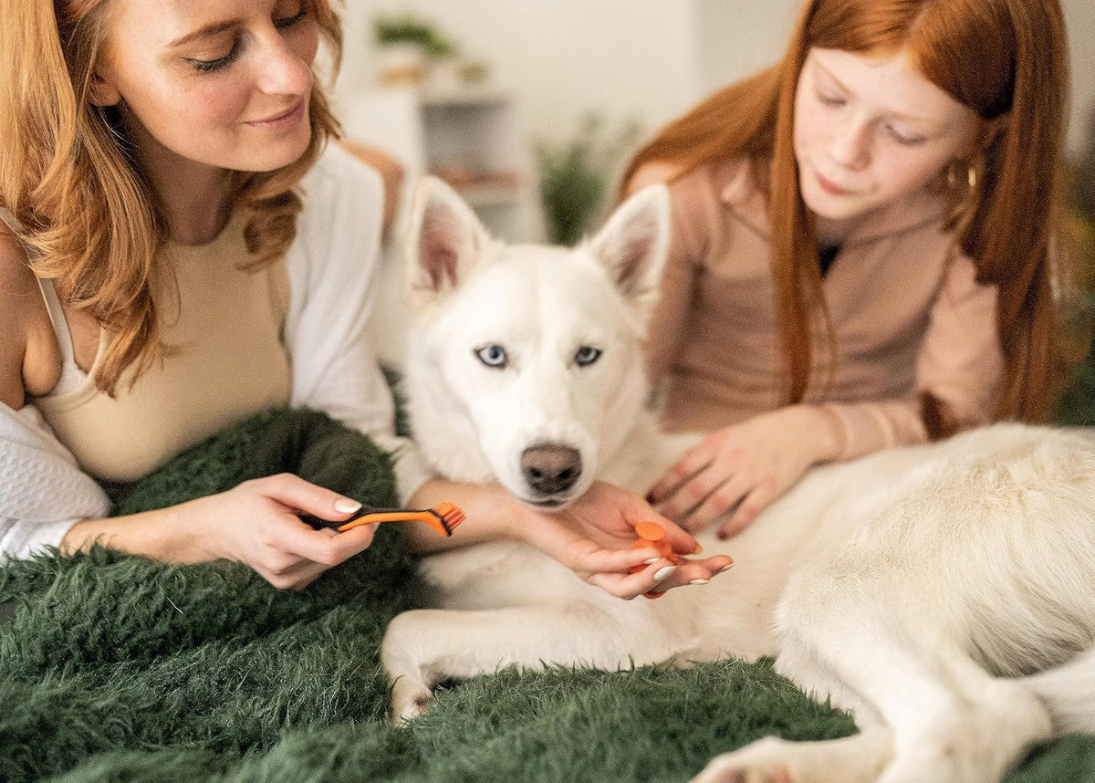 Brushmate Dog Toothbrush and Bite Block Assistant (Protects Hand and Fingers) Combo Pack by Paw Ready for Puppies' Dogs and Cats Medium Size for use with Pets Between 15-85 lbs. (7-38.5 Kg). - Image 9