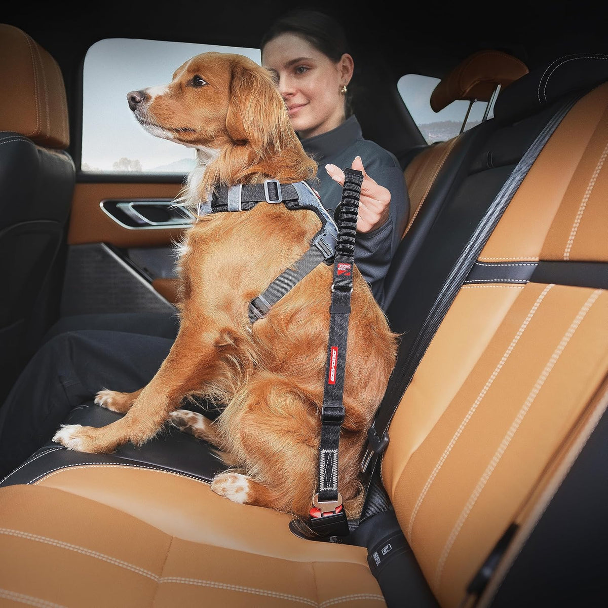 Black nylon shock absorbing dog restraint for cars