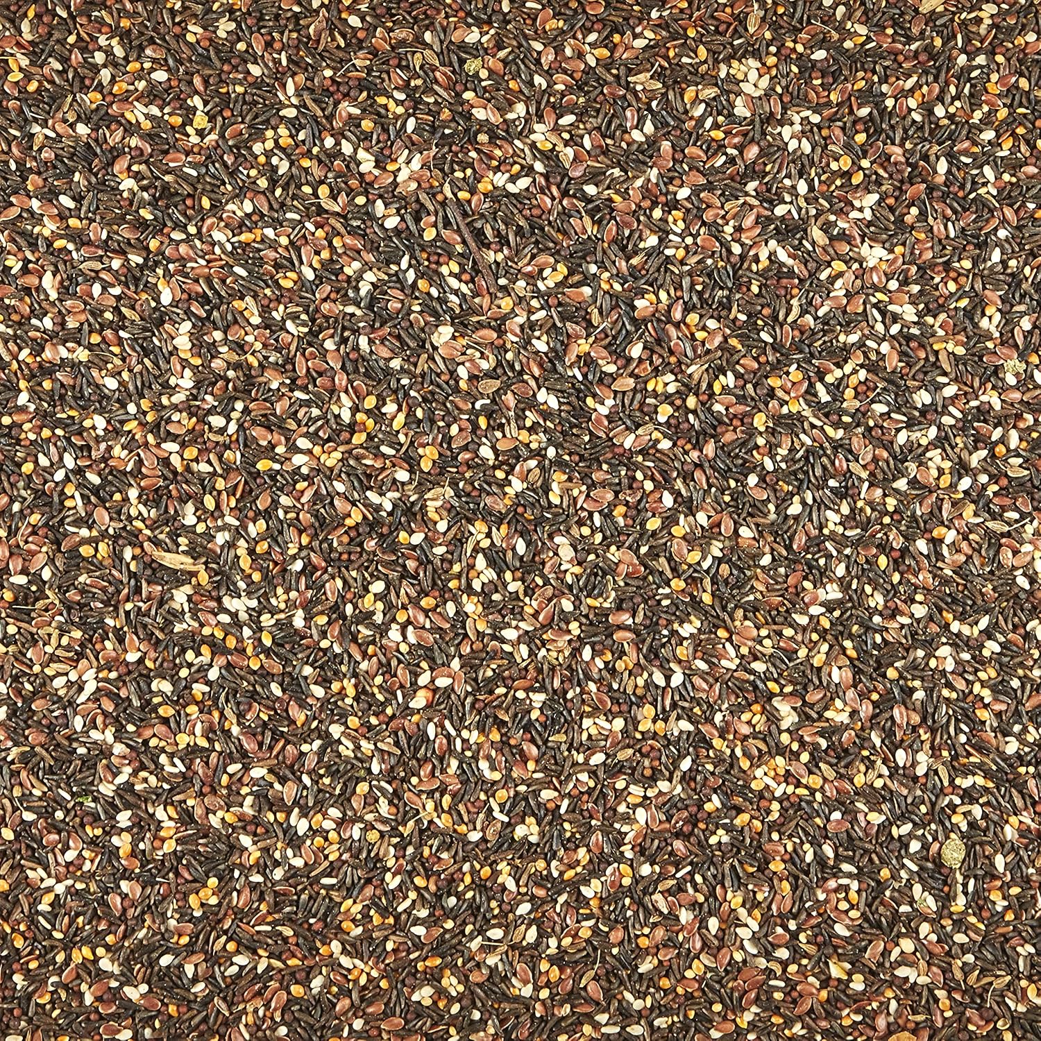 Authentic Kaytee songbird food for small cage birds